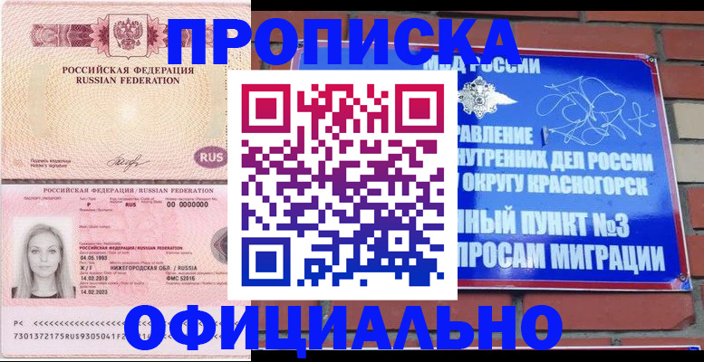 временная регистрация собственник в Московской области